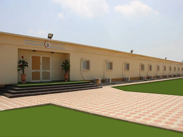 Zohr Onshore – Phase 01: Port Said – 2018